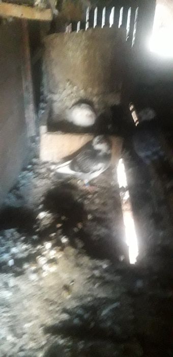 Vand porumbei voiajori