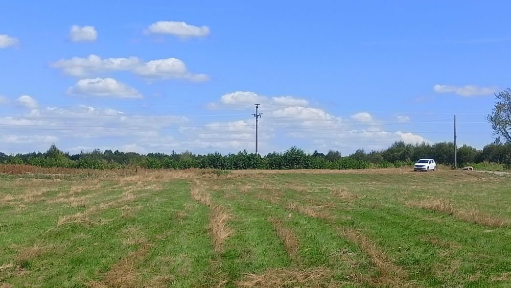 Teren Valea Sebeșului ,Hărseni ,Făgăraș .