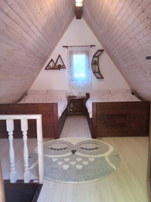 Cabana Coada lacului Tarnita