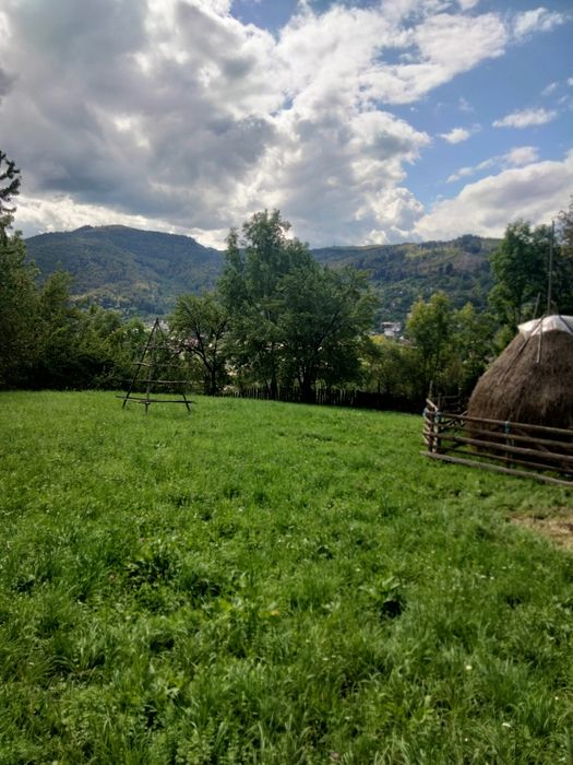 Vând teren intravilan Teșila, Valea Doftanei