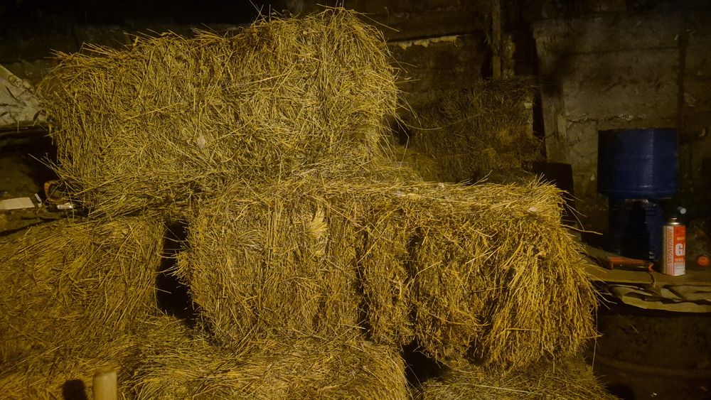 Продается отход от семечки. Есть сена в тюках.