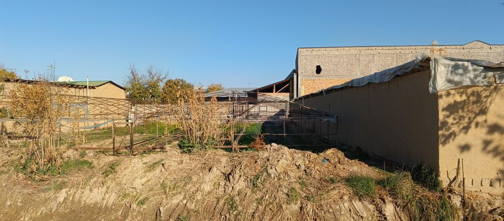 Бош эр сотилади кибрейда