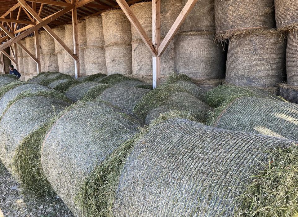 Baloti lucerna baloti fan rotunzi neplouati