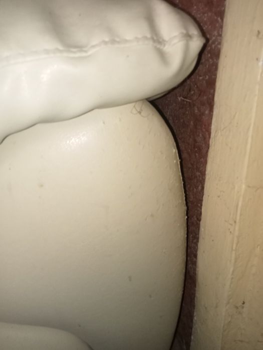 Fotoliu confortabil Elvira