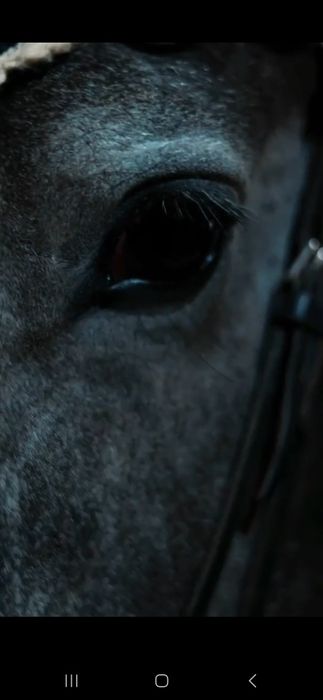 Sport Oti Spartivniy Ot