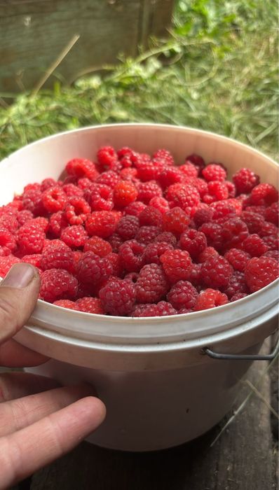 Дача Дачный участок Гудок