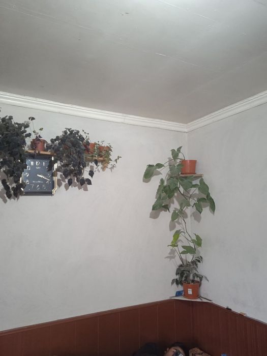 Bostonliq tuman sijjak qishlogi 86 uy