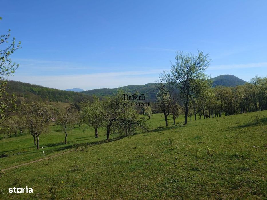 Teren intravilan si extravilan Luncoiu de Jos