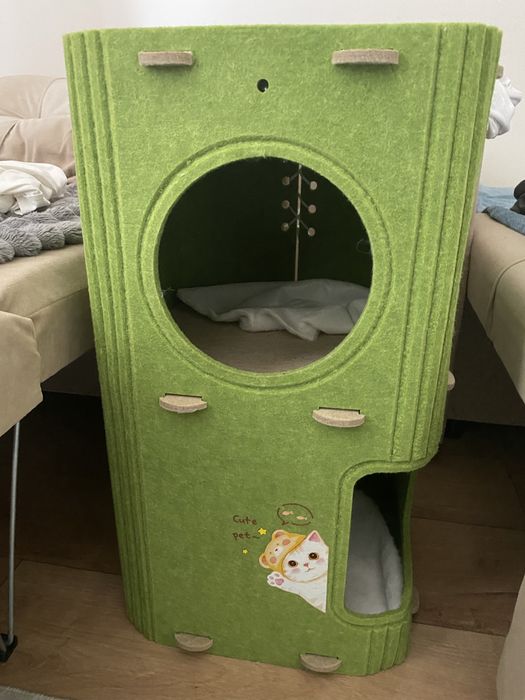 Продам котенка породистая