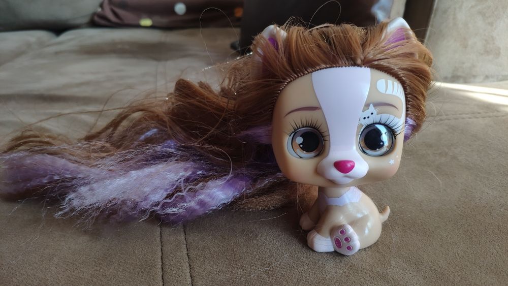 Модно кученце, куче в раница