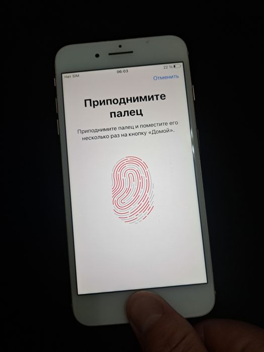 iPhone 8 Plus  256GB