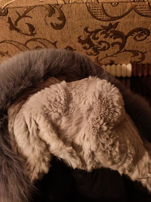 Верхняя одежда парка