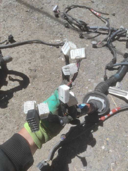 Коса двигателя 1GR FE 4.0