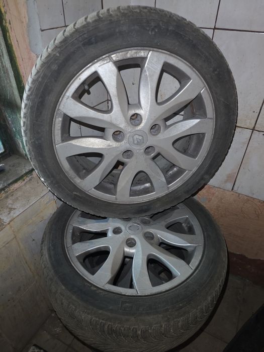 Roti de Iarna Laguna III