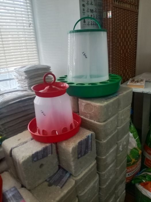 .Жангирхана. 17.