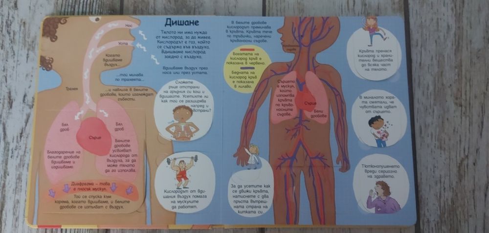 Детски книжки-енциклопедии 4 броя