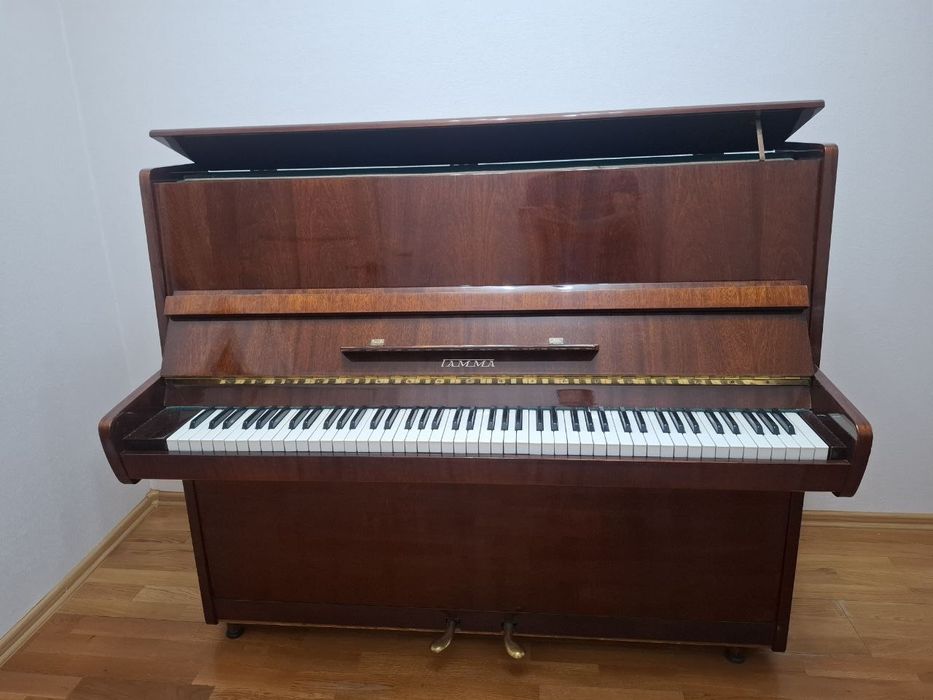 Акустическое Пианино