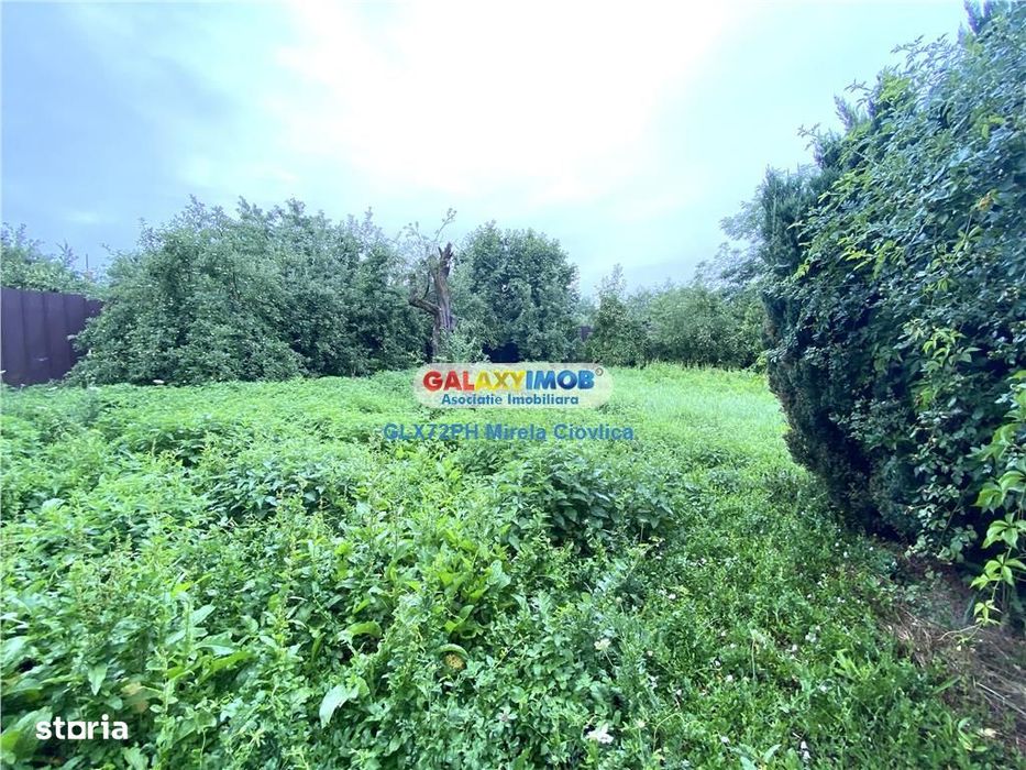 Vanzare casa Baicoi Primarie