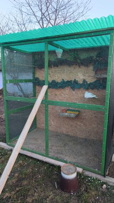 Vând colivie voliera