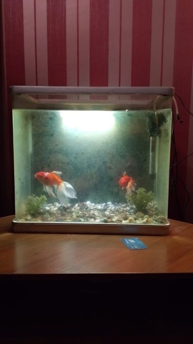 Аквариум отдам со всеми запчастями