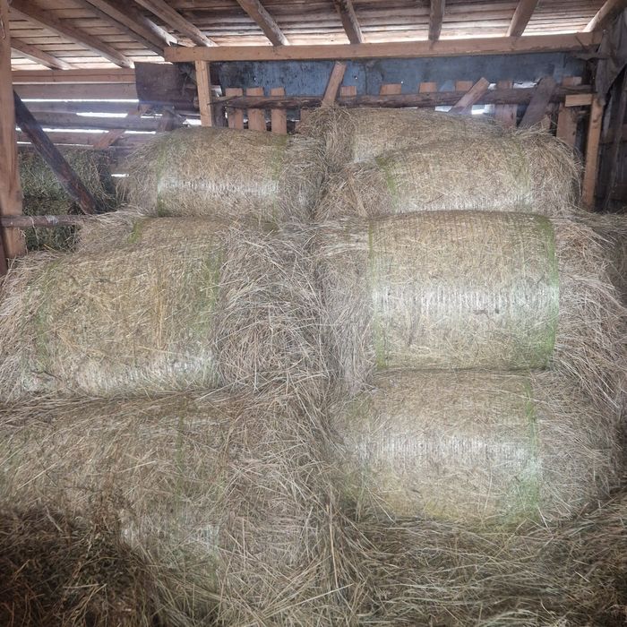 Baloti rotunzi de fân