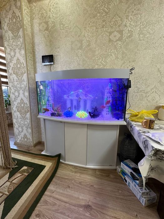 Akvarium tozalash va oʻrnatish va koʻchirish hizmati