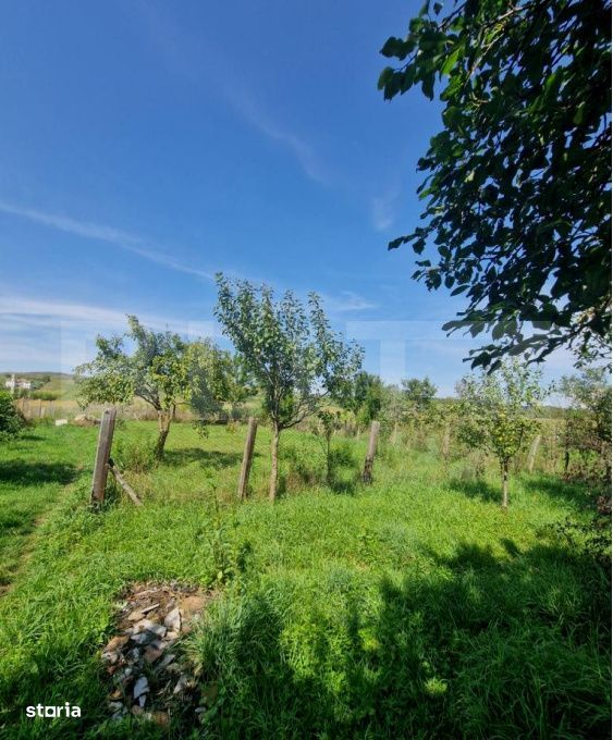 Casa cu teren in Uriu – renovata, curte, gradina si teren arabil
