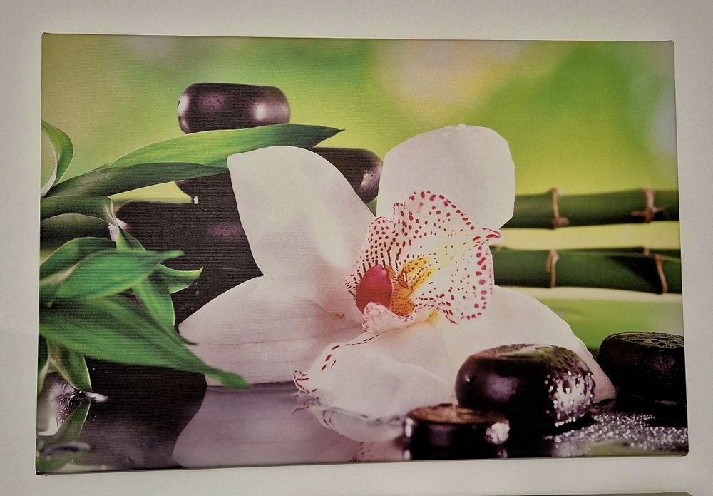 Vand tablouri canvas 60x40cm