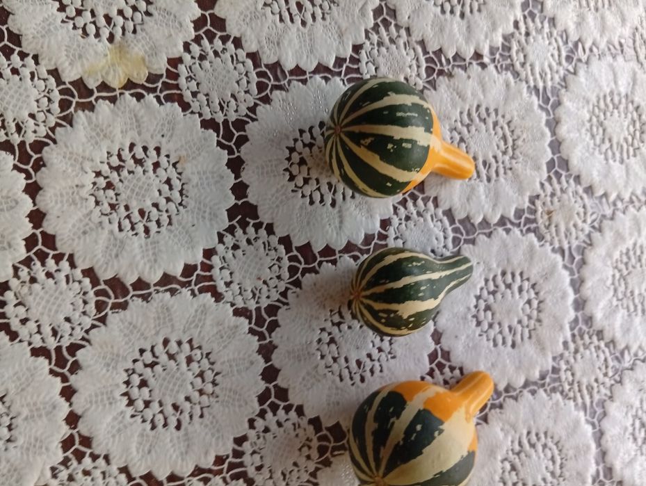 Декоративни кратунки