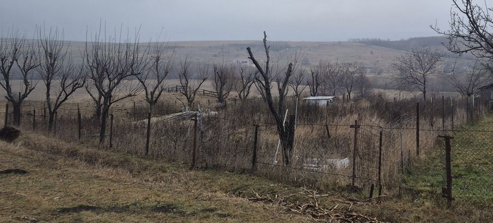 Teren intravilam 1220 mp