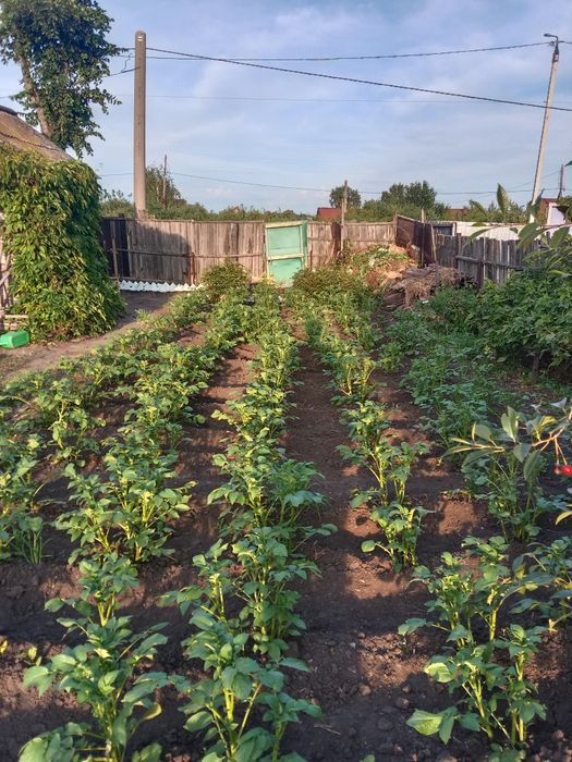 Продам дачу общество Лада