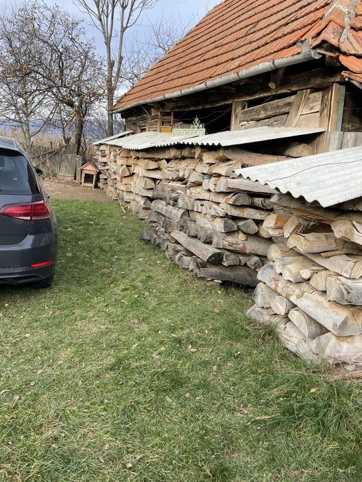 Vand lemne foc 10 m steri