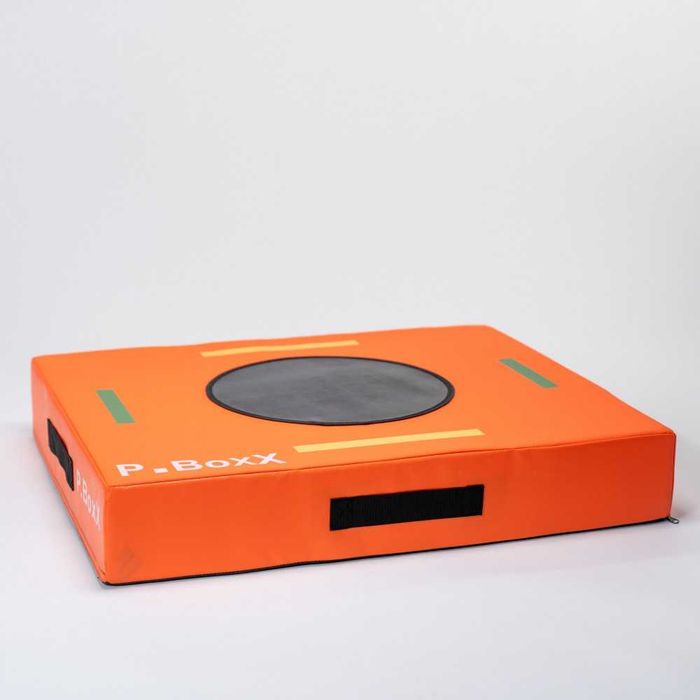 Мултифункционалната платформа P.BoxX