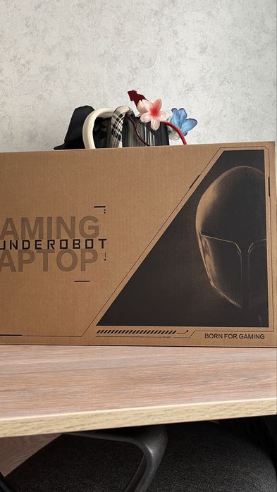 Thunderobot 4050 rtx/i5