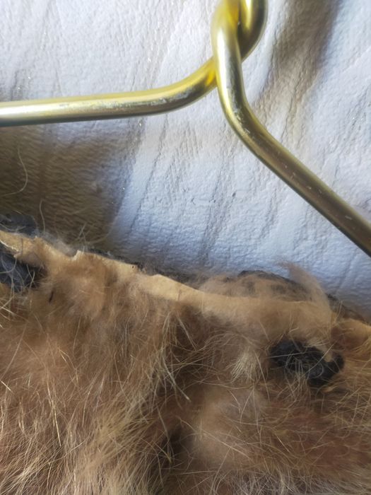 Шуба, волчий или енот.