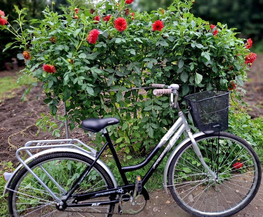 Продам срочно велосипед новый