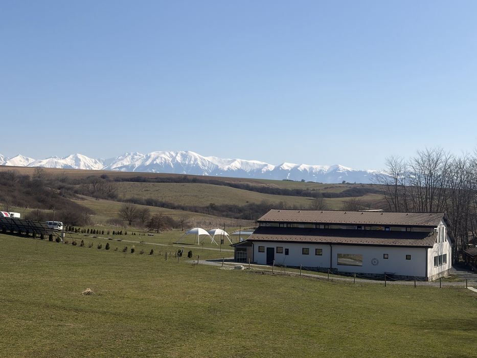 Casa si teren de vanzare Raiul Cailor