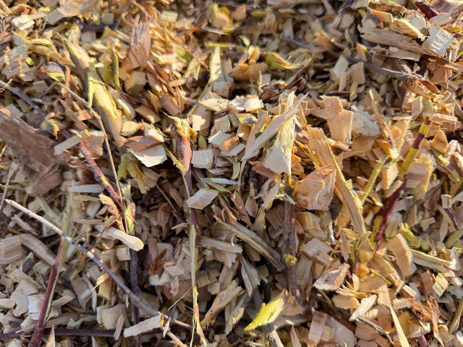 Дрова, деревья яблони