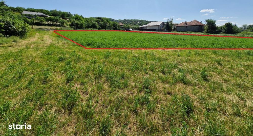 Teren intravilan 2000 mp – Popesti (Baciu) Ideal pentru casa, gradin