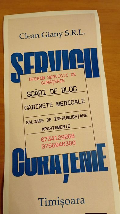 Curățenie profesională