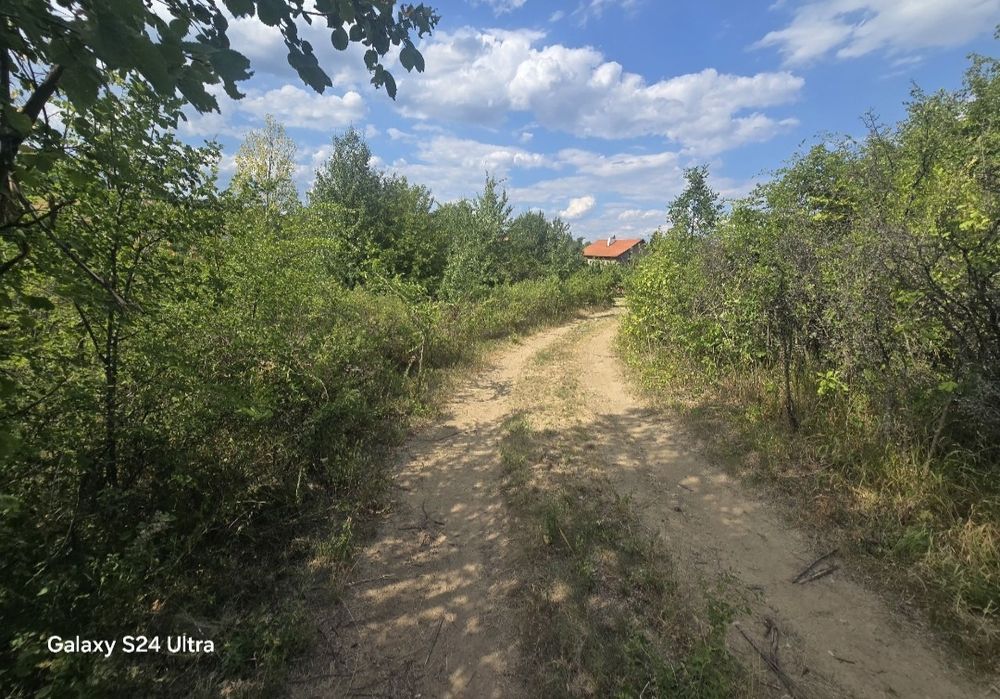 Продава се Парцел в Белово - 800 кв.м за 20 €/кв.м - Снимка #3