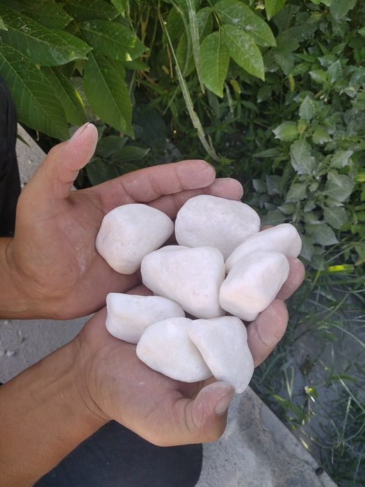 Натурални декоративни галка