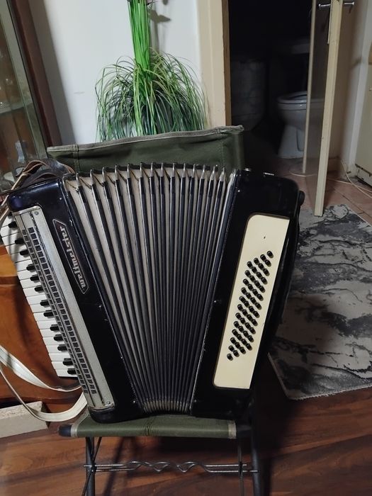 Acordeon de vanzare