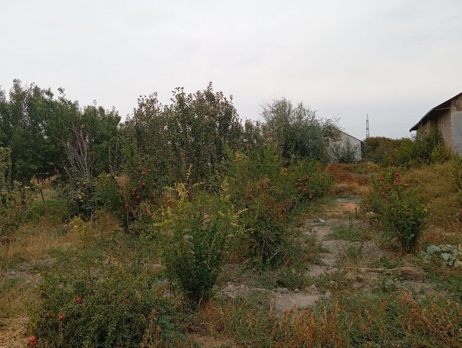 Yer uchastkasi sotiladi sotigʻi  10mln