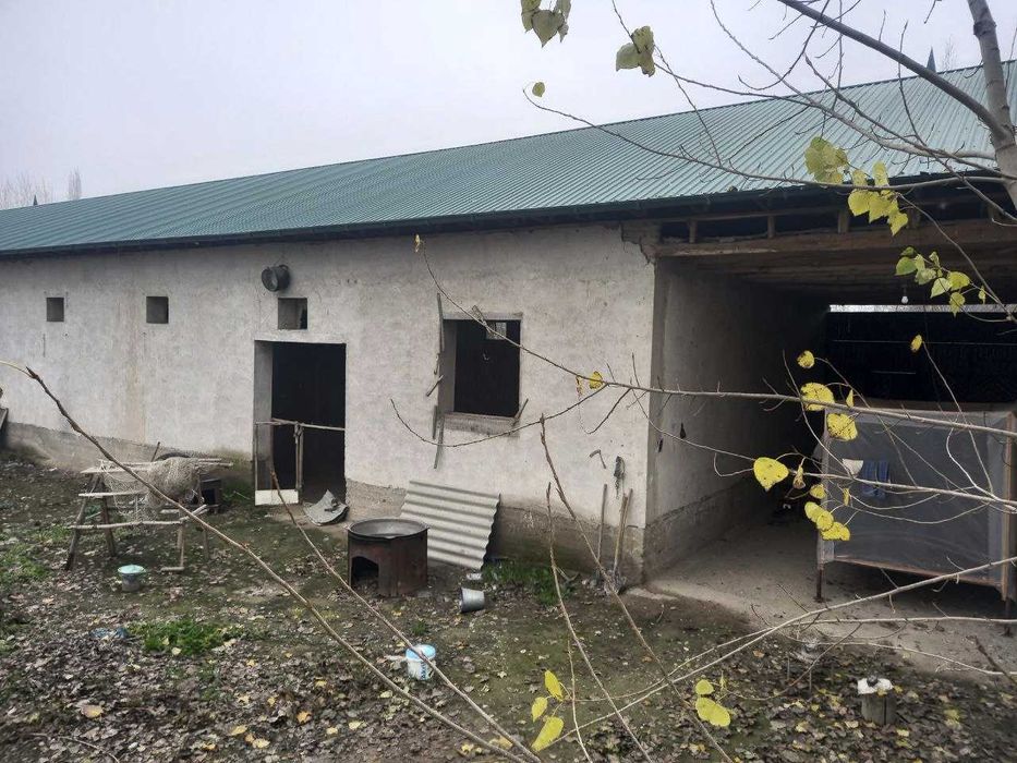 Oziq ovqat don maxsulotlarini qayta ishlash bino va inshoatlari