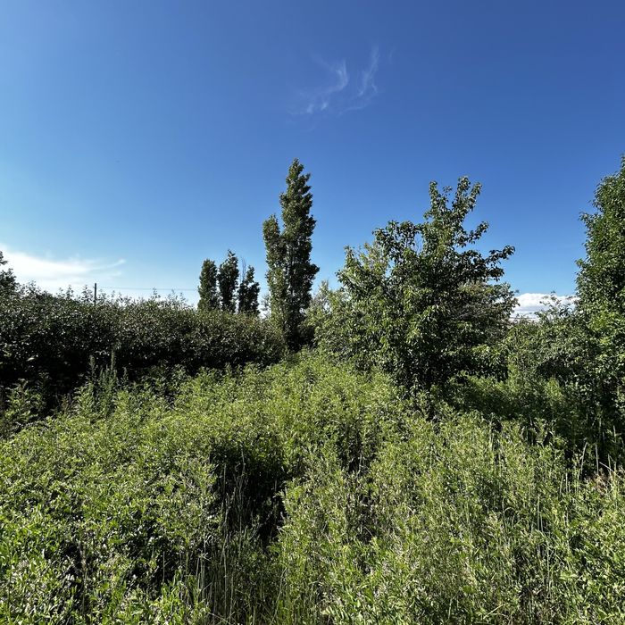 ОЧЕНЬ СРОЧНО продается дача в Алмалы.