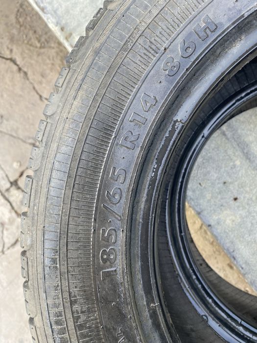 Продам резину Амтел