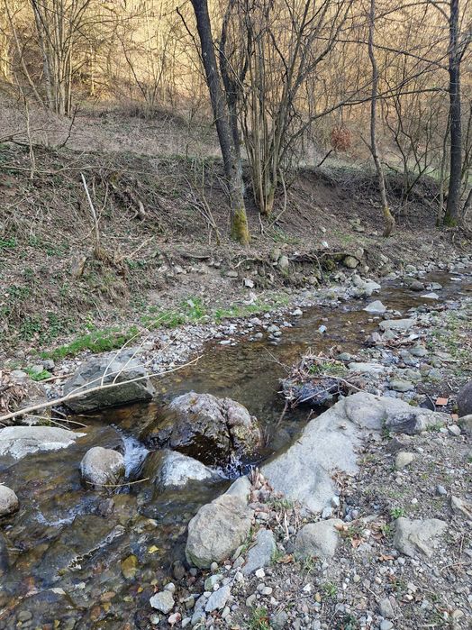 Teren intravilan de vanzare