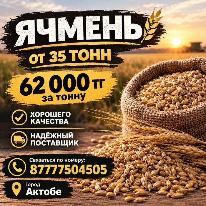 Ячмень хорошего качества