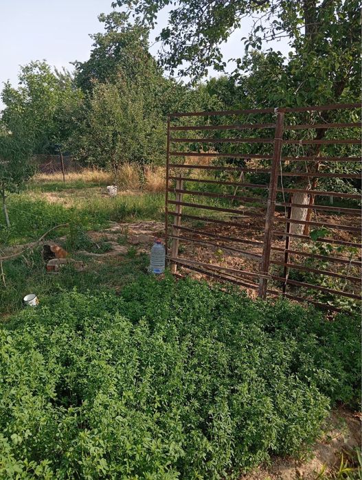 Продается дачный участок с домом